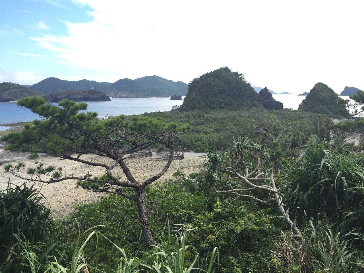 L’illa de Zamami i els seus esculls de coral! 座間味島とそのサンゴ礁